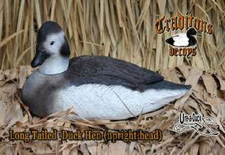 Traditions LongTail Duck Decoys   Old Squaw decoys  