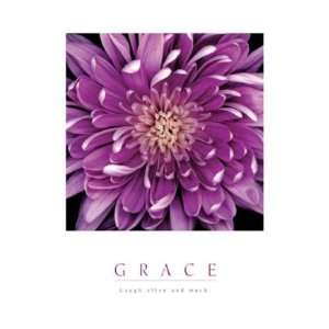  (16x20) Grace Purple Mum Flower Inspirational Motivational 