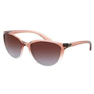 Ray Ban Sunglasses RB4167 / Frame Transparent Brown Fade Lens Brown 