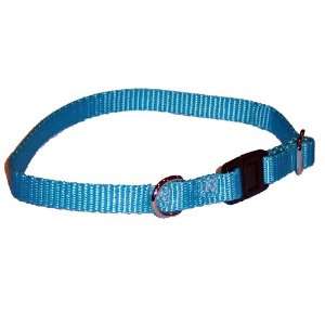   Pet Products Turquoise Cat Safety Collar   Adjustable 8 to 12 inch