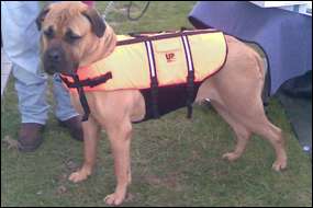 Wearing their Up Buoy Classic Giant (Extra large) size life jackets