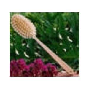 Skin Brush with Long Handle  Robert Gray Cleansing Brand Holistic 