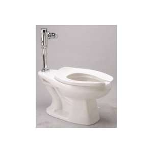   Toilet System with Bedpan Lugs and Manual Flush Valve Z5666.214 Home