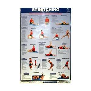    Power Systems Stretching Chart   Lower Body